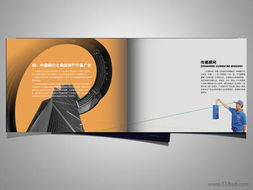 惠阳品牌设计综合服务指南 从啤酒广告到液晶显示器与光学仪器画册